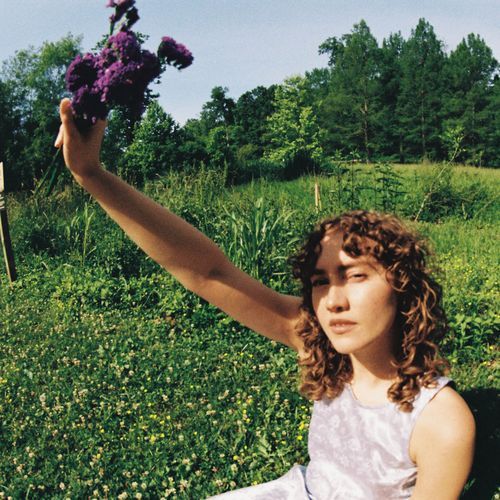 Violets cover art
