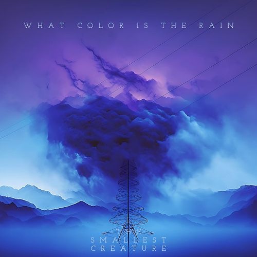 What Color Is the Rain cover art