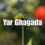 Yar Ghagada
