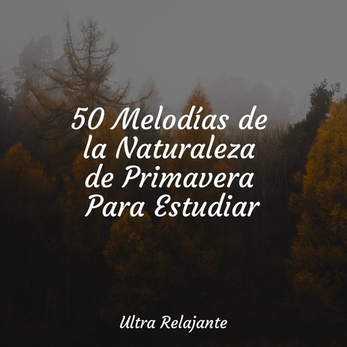 50 Melodías de la Naturaleza de Primavera Para Estudiar