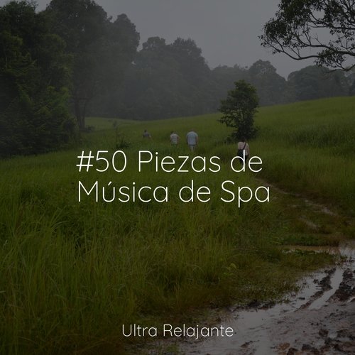 Vivir De Nuevo