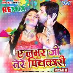 Ae Labhar Ji Tere Pichkari - Remix