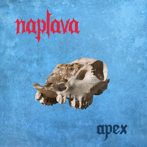 Apex cover art