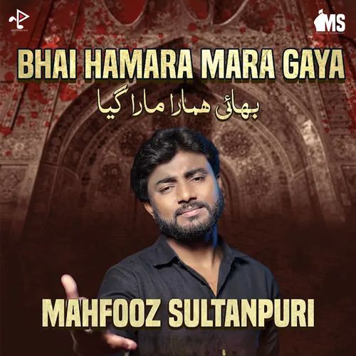 Bhai Hamara Mara Gaya