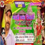 bhauji kal taiyari chala hali noo ho