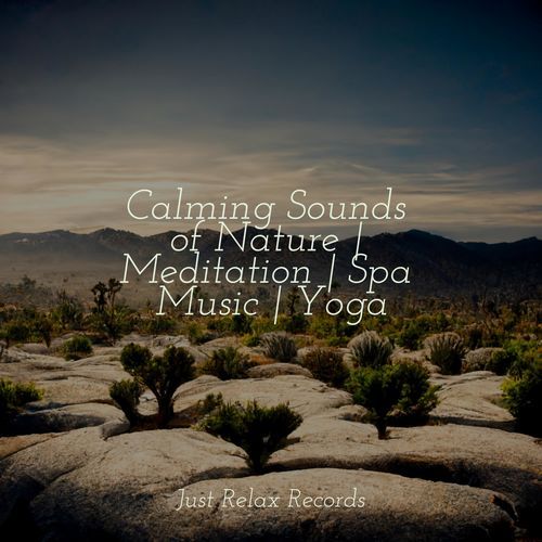 Beyond the Silence cover art