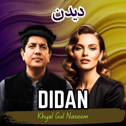 Didan cover art