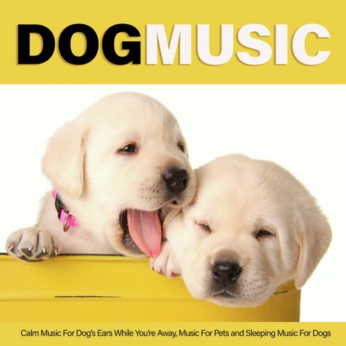 Relaxing Music For Dogs