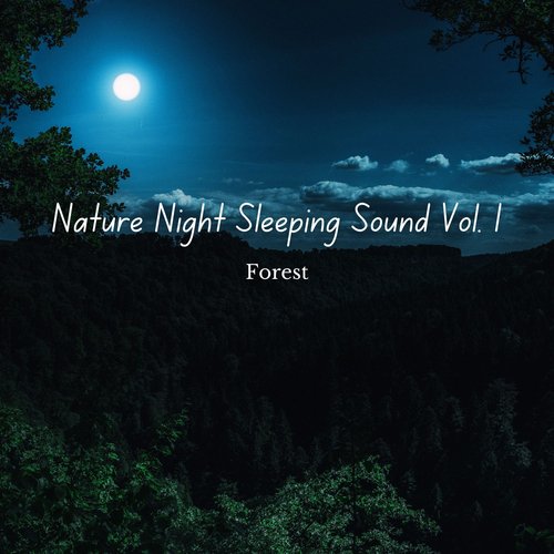 Forest: Nature Night Sleeping Sound Vol. 1_poster_image