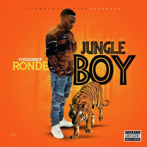 AfrikanBoy cover art