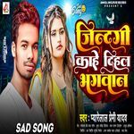 Jindagi Kahe Dehla Bhagwan