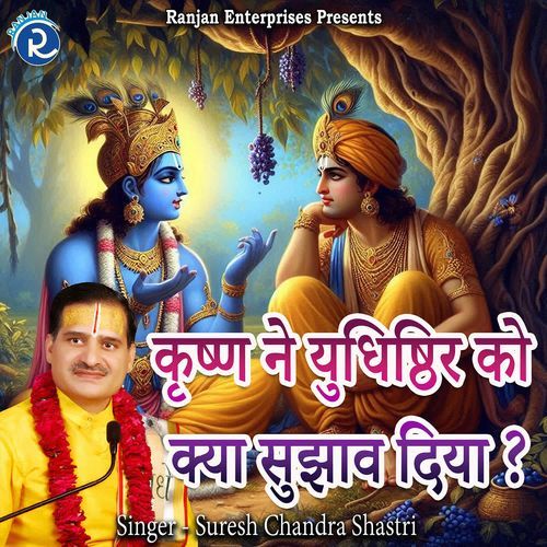 Krishn Ne Yudhishthir Ko Kya Sujhav Diya