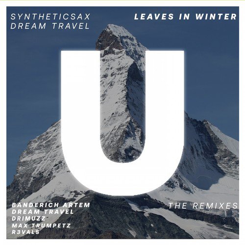 Leaves in Winter (The Remixes)