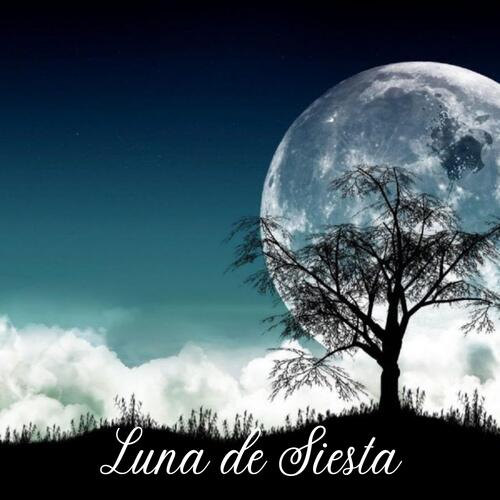 Luna de Siesta