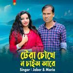 টেরা চৌখে ন চাইঅ আরে