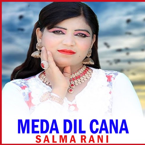 Meda Dil Cana