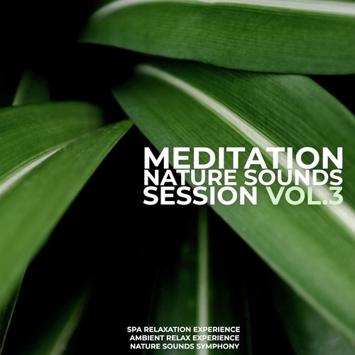Meditation Nature Sounds Session Vol. 3