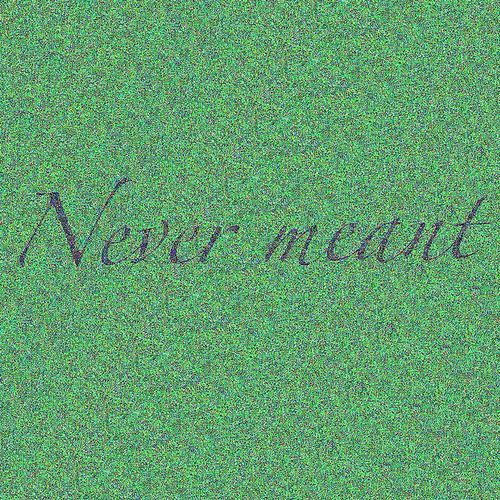 NEVER MEANT