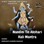 Nandini Tin Akshari Kali Mantra