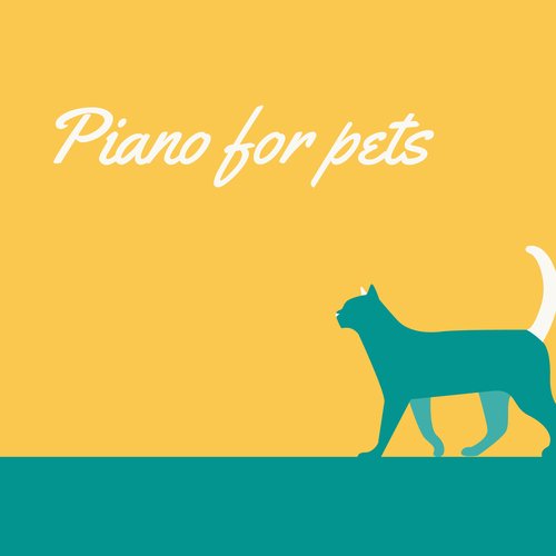 Piano for Pets_poster_image