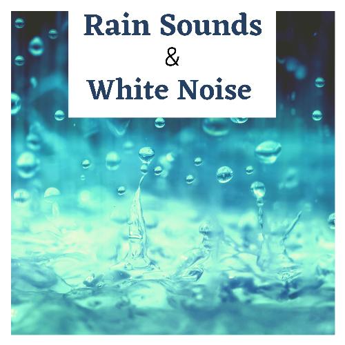 Rain Sounds & White Noise cover art