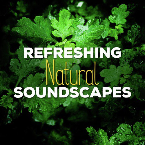 Refreshing Natural Soundscapes