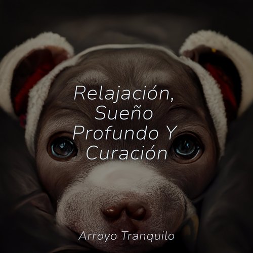 Relajación, Sueño Profundo Y Curación