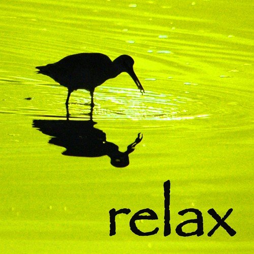 Relax – Anti Stress New Age Music