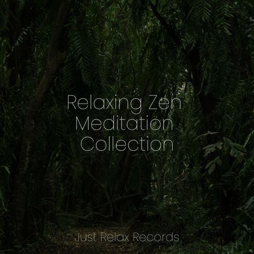 Relaxing Zen Meditation Collection