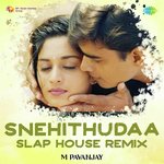 Snehithudaa - Slap House Remix