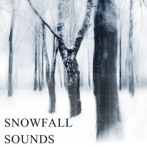 Snowfall sounds_poster_image