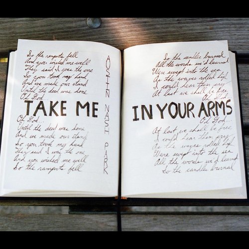 Take Me in Your Arms (Omar Raafat Remix) cover art