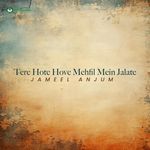 Tere Hote Hove Mehfil Mein Jalate