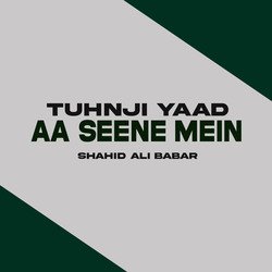 Tuhnji Yaad Aa Seene Mein-FTsJWgB,QAo