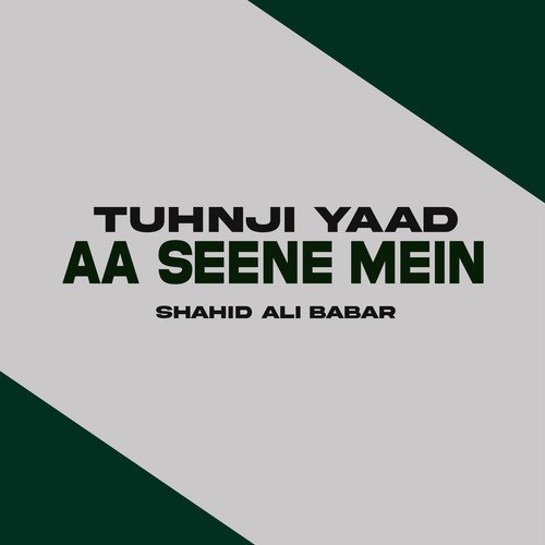 Tuhnji Yaad Aa Seene Mein