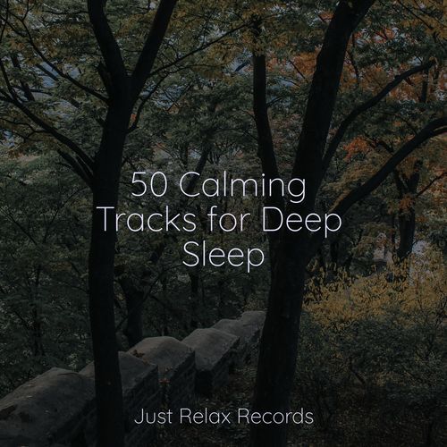 50 Calming Tracks for Deep Sleep_poster_image