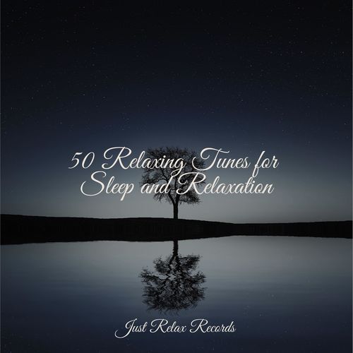 50 Relaxing Tunes for Sleep and Relaxation_poster_image