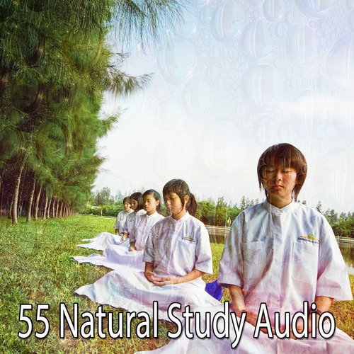 55 Natural Study Audio