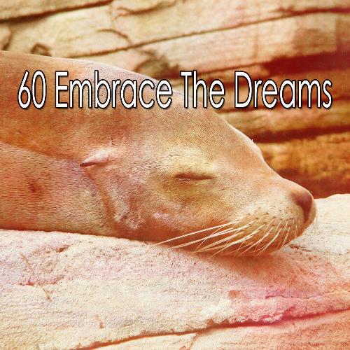 60 Embrace The Dreams