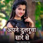 Apne Dularuwa Sare Se