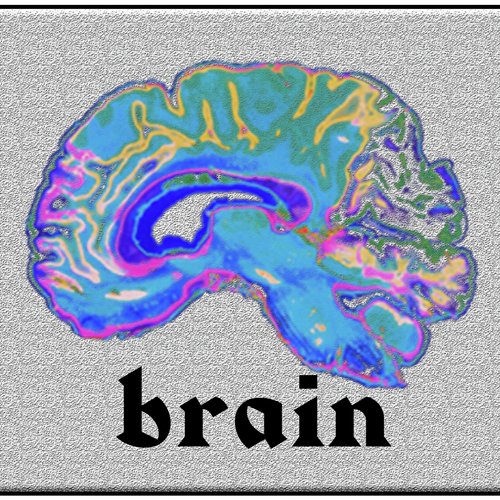 Brain_poster_image