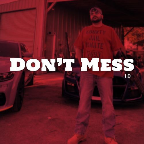 Don’t Mess 1.0_poster_image