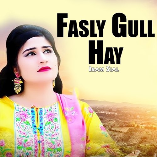 Fasly Gull Hay