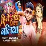 Hile Gaya Jila Baliya