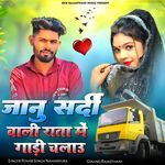 Janu Sardi Wali Rata Me Gadi Chalau