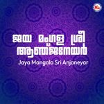 Idukampalayam Mannil