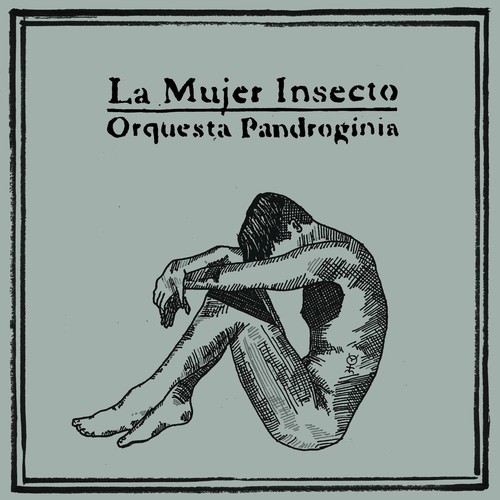 Salomon cover art