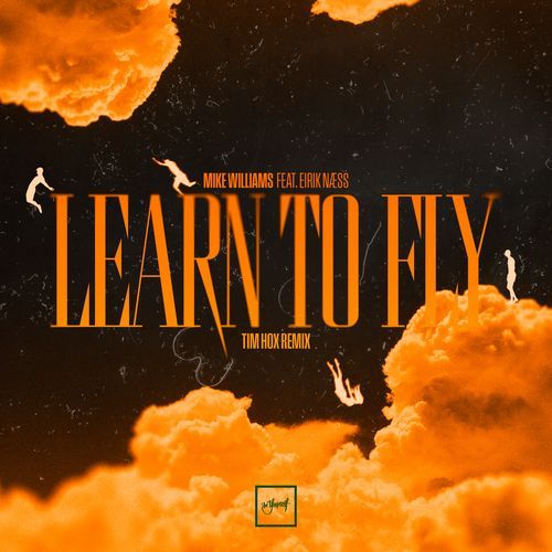 Learn To Fly (Tim Hox Remix) cover art