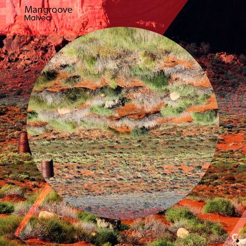 Mangroove cover art