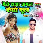 Mero Raja Kamal Kaiso Phool